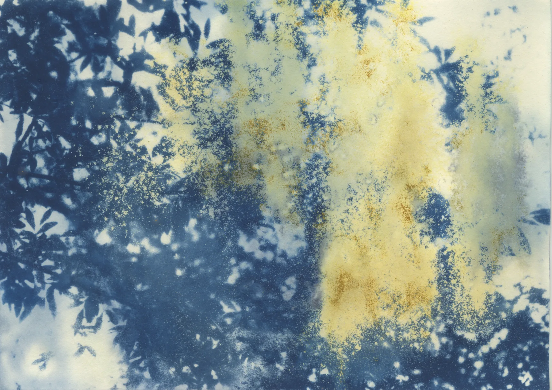 Abstract Cyanotype A5 #1