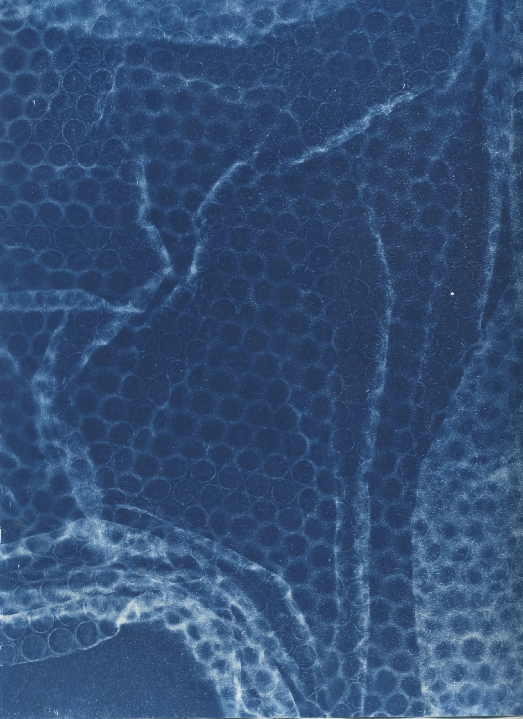 Cyanotype on Bubble Wrap A4