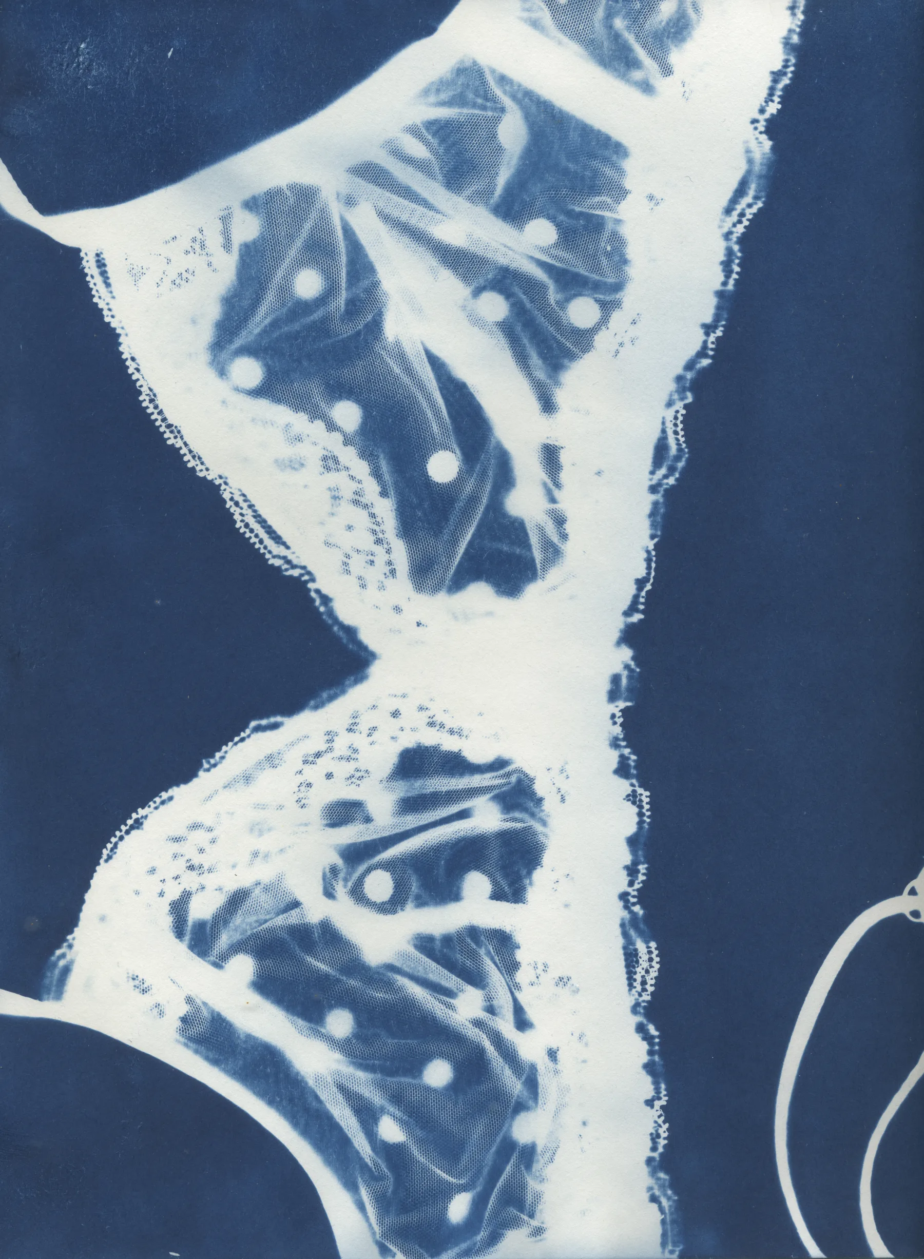 Underwear Cyanotype A4 #1