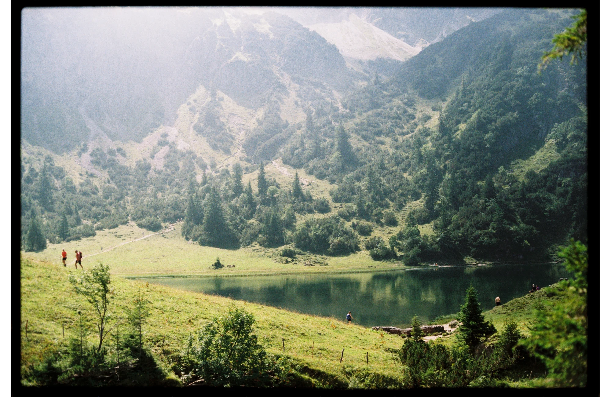 Film Print Detail 2